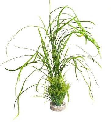 AL Lily grass maxi 45x40x22 cm