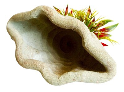 AL Marine Shelter plants 16x13x12 cm