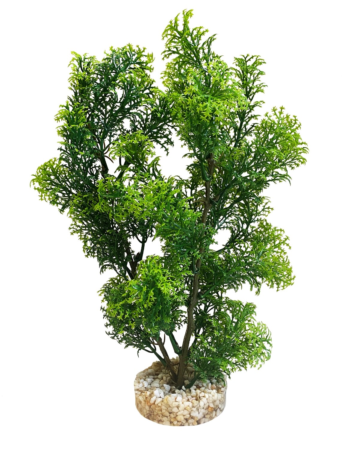 AL Club Moss Large 28x10x10 cm