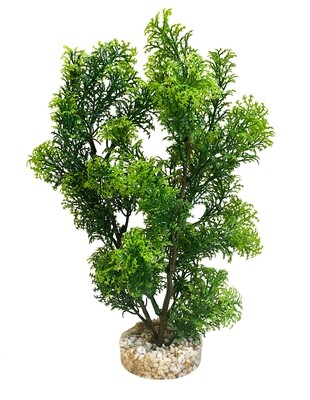 AL Club Moss Large 28x10x10 cm