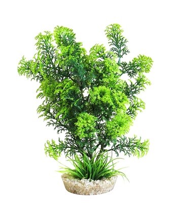 AL Cabomba plant 27x10x18 cm