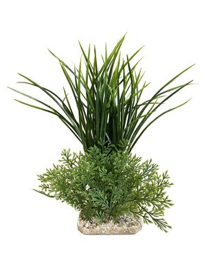 AL Acorus Giant GROEN 30x8x24 cm