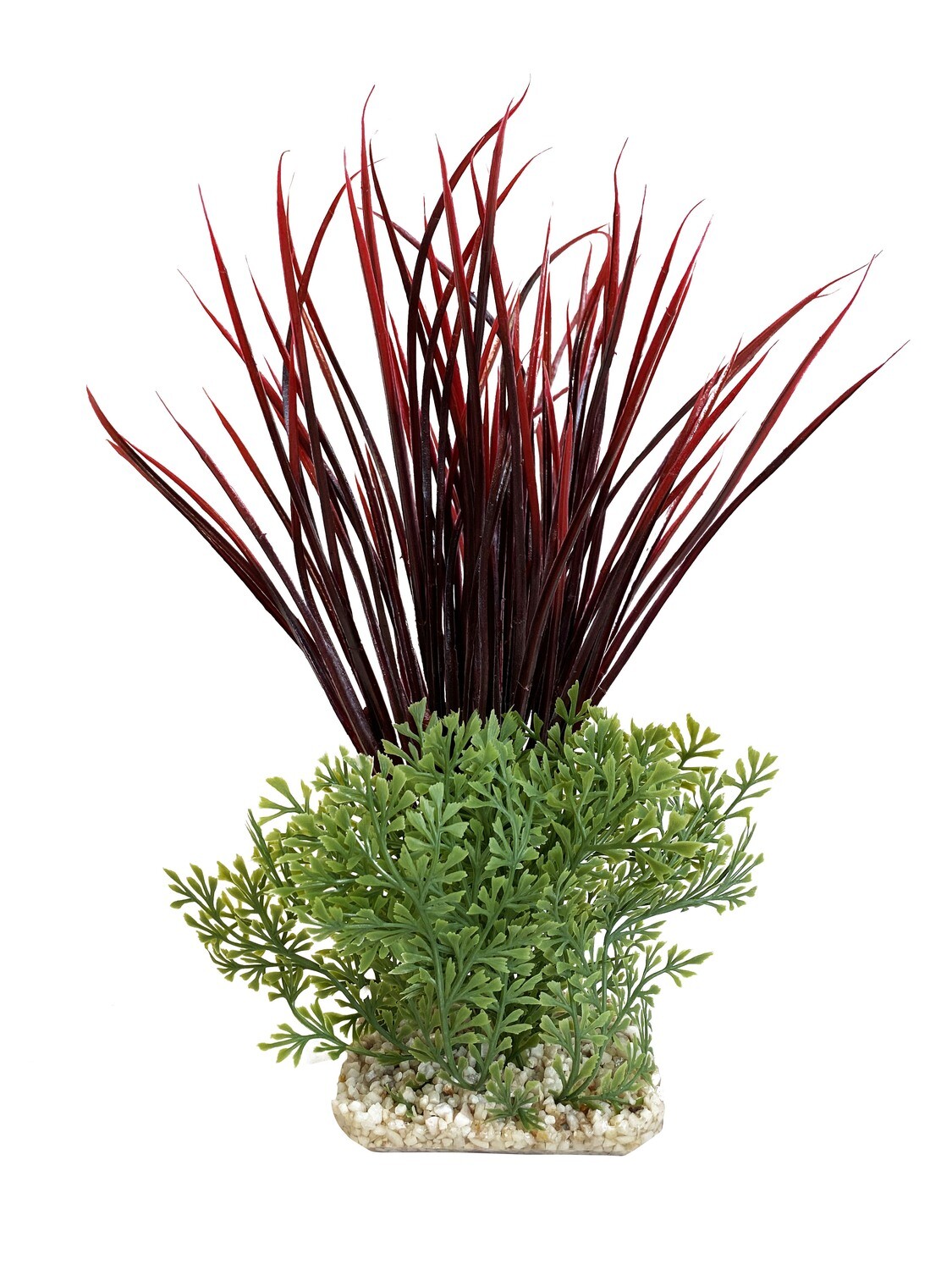 AL Acorus Giant ROOD 30x8x24 cm