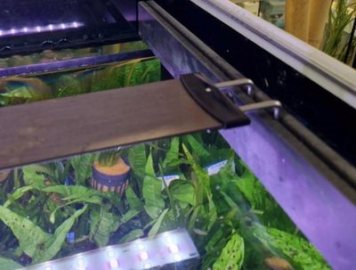 PVC - LED steunen (kies afmeting)
