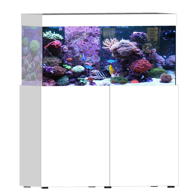 Ocean Dream 495 (160x50x60 cm) incl. meubel, sump &amp; PVC onderdelen