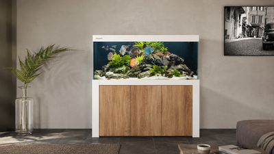 Aqualife FELIX 100x50x60/140 cm (aquarium + meubel)