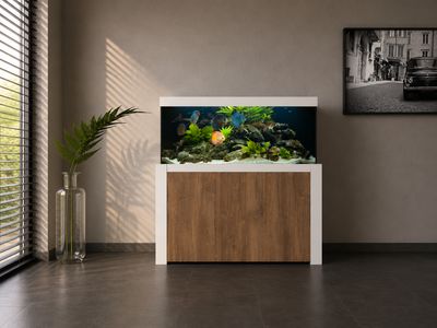 Aqualife FELIX 120x50x60/140 cm (aquarium + meubel)