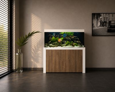 Aqualife FELIX 250x50x60/140 cm (aquarium + meubel)