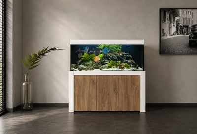 Aqualife FELIX 250x60x70/150 cm (aquarium + meubel)