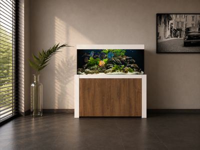 Aqualife FELIX 150x50x60/140 cm (aquarium + meubel)