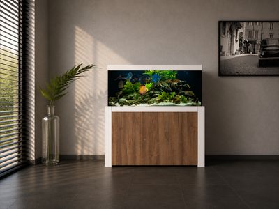 Aqualife FELIX 180x50x60/140 cm (aquarium + meubel)