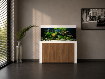 Aqualife FELIX 200x50x60/140 cm (aquarium + meubel)