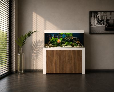 Aqualife FELIX 220x50x60/140 cm (aquarium + meubel)