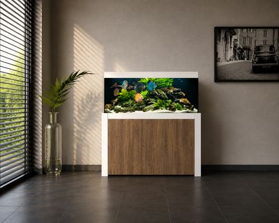 Aqualife FELIX 160x50x60/140 cm (aquarium + meubel)