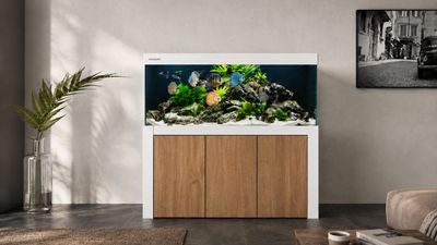 Aqualife FELIX 120x60x70/150 cm (aquarium + meubel)