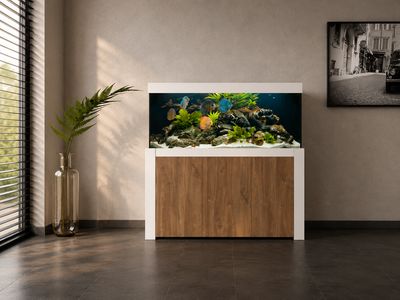 Aqualife FELIX 160x60x70/150 cm (aquarium + meubel)