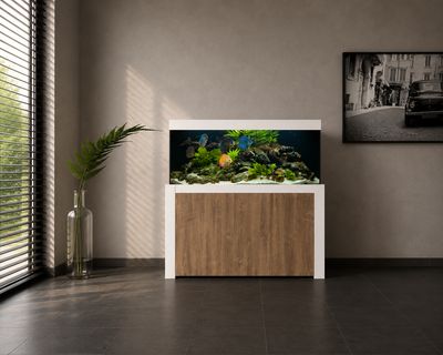 Aqualife FELIX 100x60x70/150 cm (aquarium + meubel)