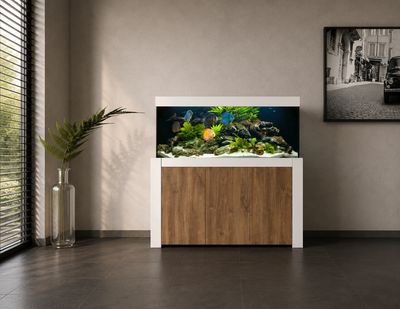 Aqualife FELIX 150x60x70/150 cm (aquarium + meubel)