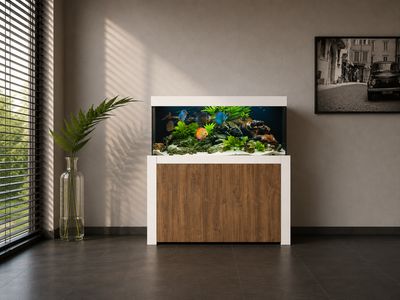 Aqualife FELIX 130x50x60/140 cm (aquarium + meubel)
