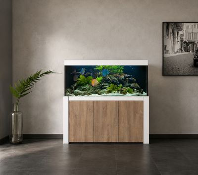 Aqualife FELIX 200x60x70/150 cm (aquarium + meubel)