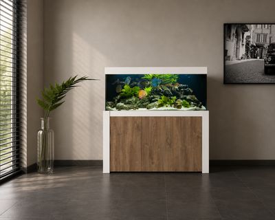 Aqualife FELIX 220x60x70/150 cm (aquarium + meubel)