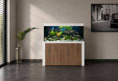 Aqualife FELIX 270x60x70/150 cm (aquarium + meubel)