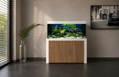 Aqualife FELIX 130x60x70/150 cm (aquarium + meubel)
