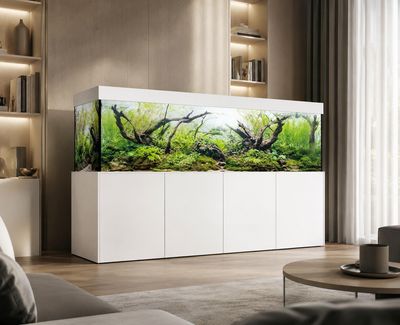 Aqualife MODERN LINE 250x60x70/150 cm (aquarium + meubel)