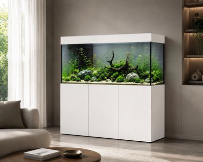 Aqualife MODERN LINE (PRO) 200x60x70/150 cm (aquarium + meubel + BIOLOOG FILTERSYSTEEM)