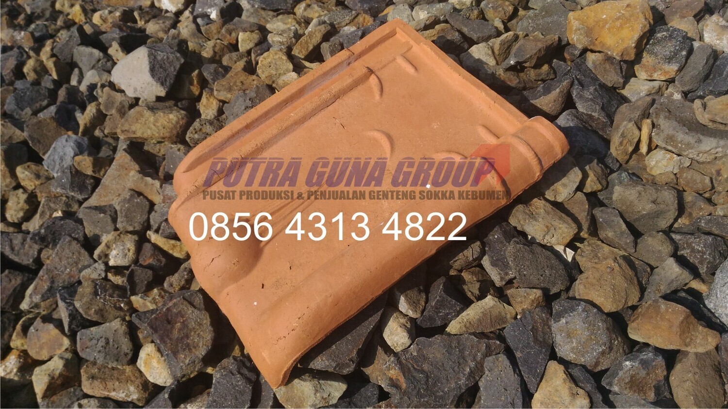 Kodok Kualitas Sedang