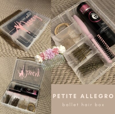 petite allegro ballet hair box