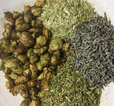 bear roots forest sweet dreams | 2oz