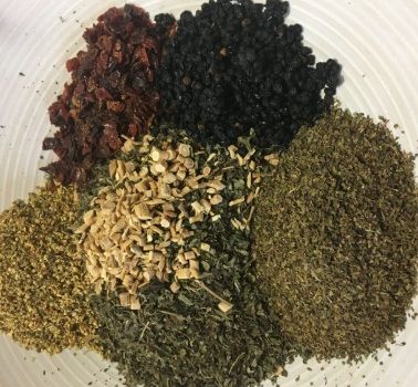 bear roots forest immuni-tea | 2oz