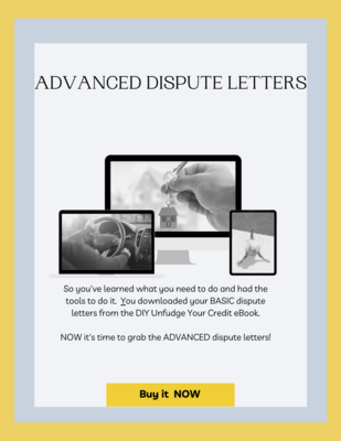 Advanced Dispute Letters