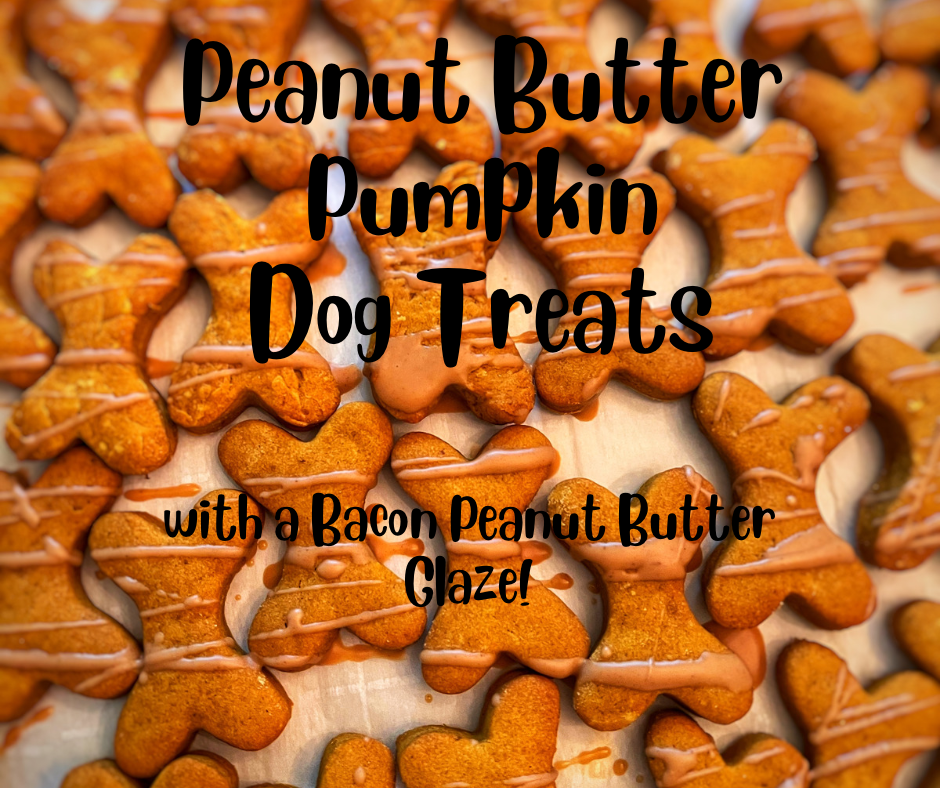 Peanut Butter Pumpkin Dog Treats