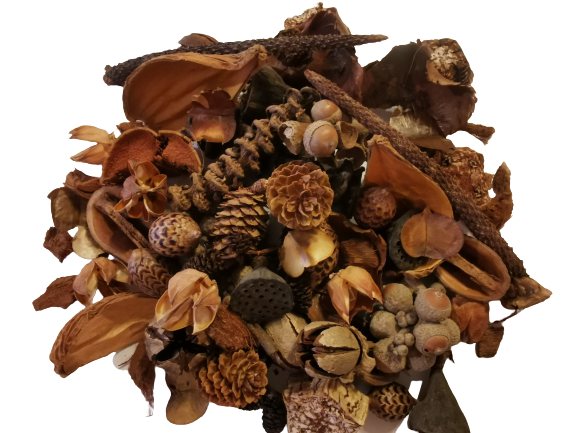 Premium Deluxe Forest Floor Cover