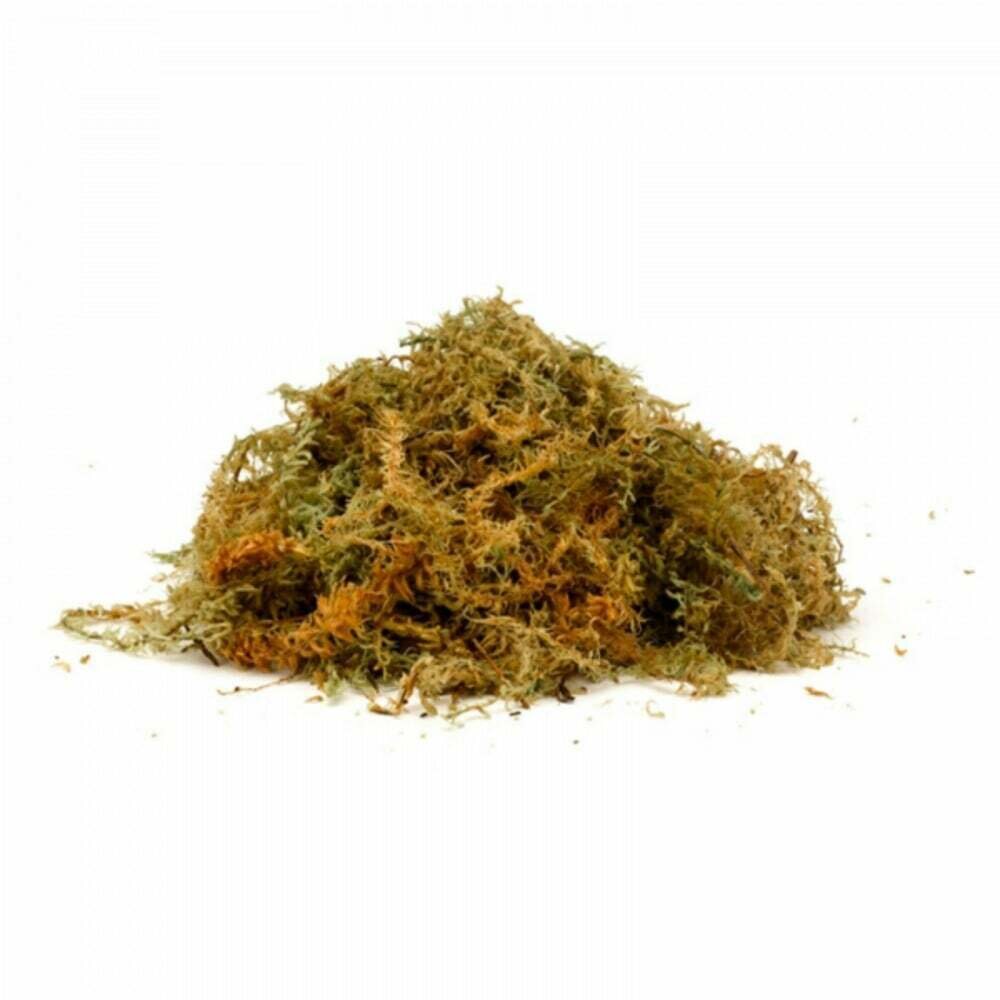 Long New Zealand Sphagnum Moss 1 Quart