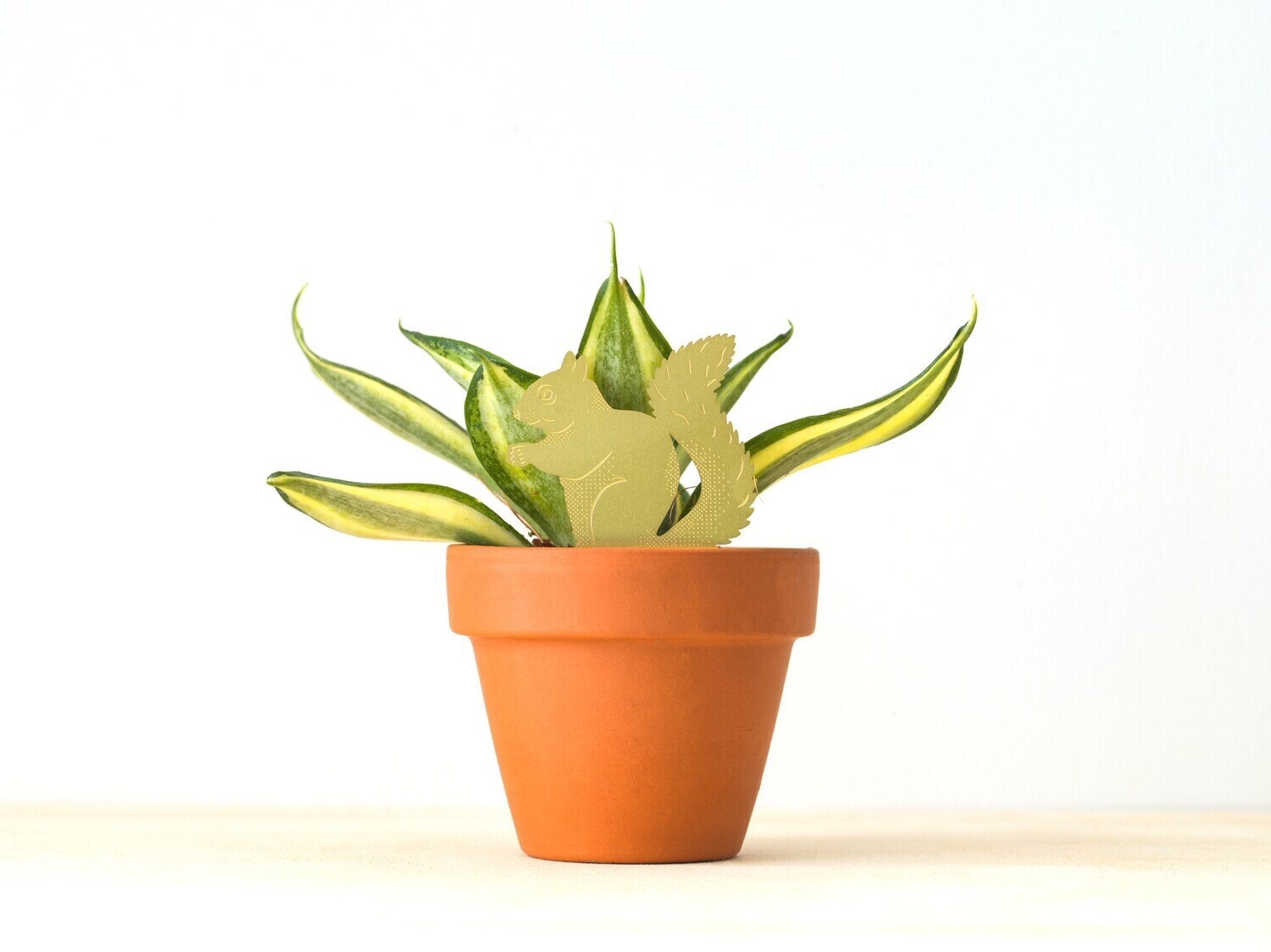 Plant Animal - Squirrel