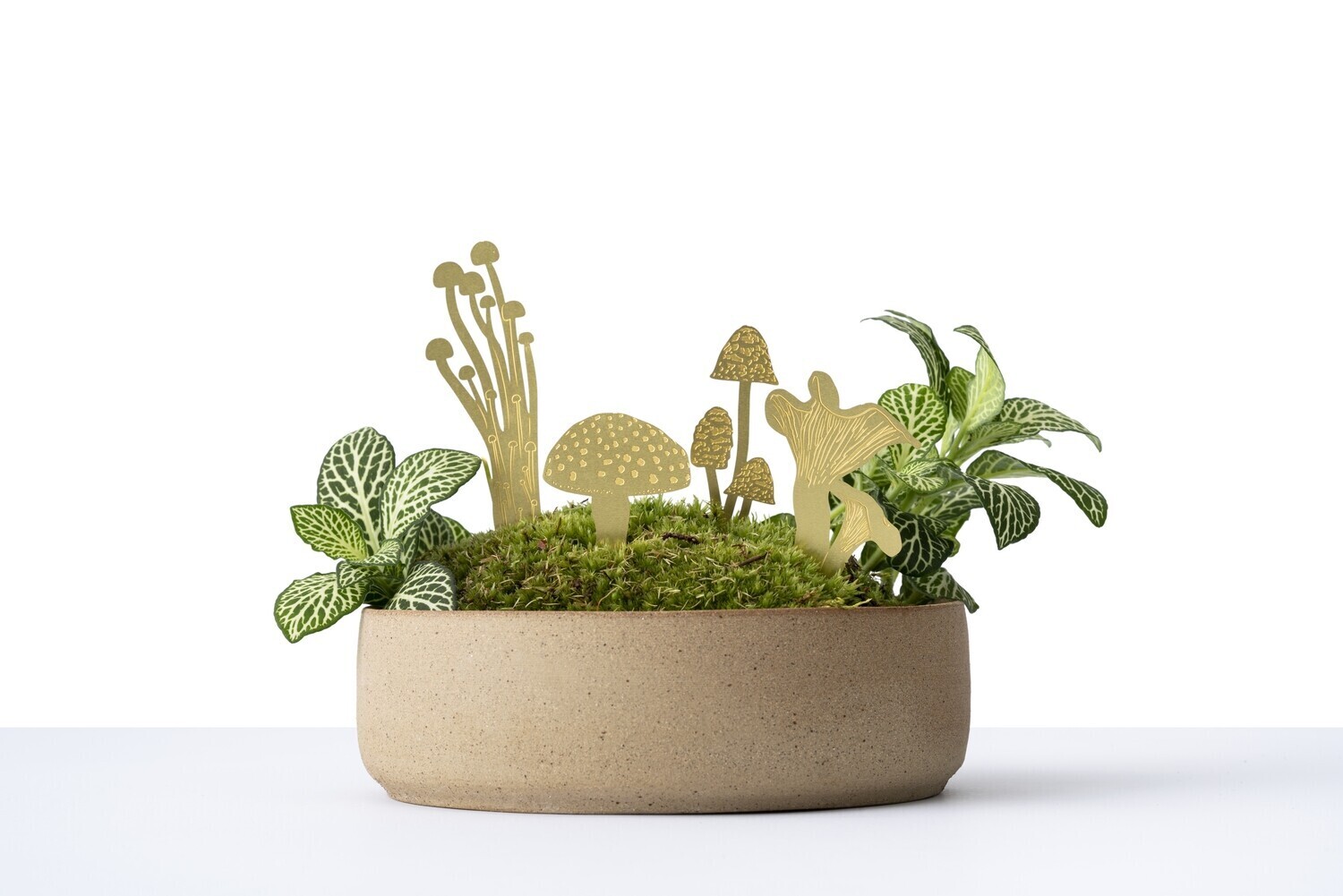 Mini Mushrooms Set - Brass