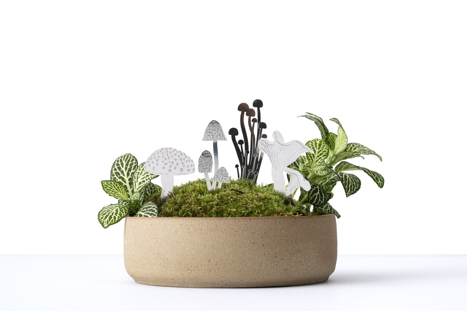 Mini Mushrooms Set - Steel