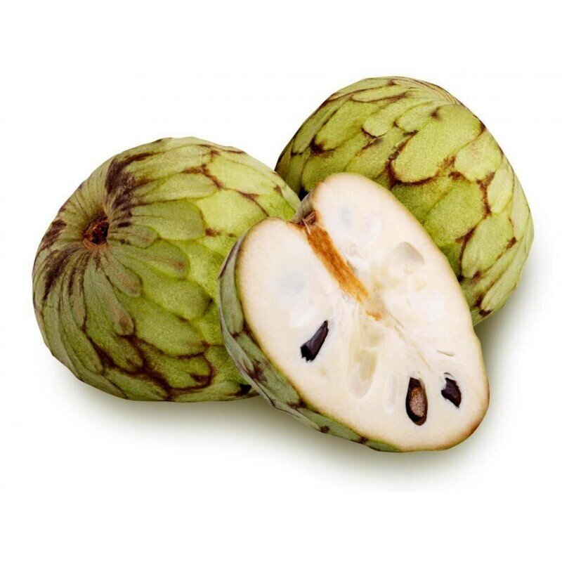This is Annona cherimola . The common name for this is Cherimoya Custard Apple. Whimsy and Wonder Seeds sells the freshest of rare fruit seeds. Other Common names for this exotic fruit species are:Cherimoya Custard Apple: Annona cherimola, Custard Apple, Chirimoya. Check this Cherimoya Custard Apple (Annona cherimola &gt;) out along with all of our other Rare  and Exotic Fruit plant seeds here at Whimsy and Wonder Seeds. We ship these exotic fruit plants seeds  from Canada to anywhere in the World.