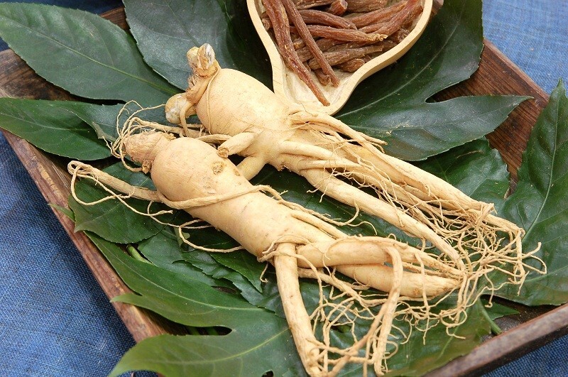 Ginseng Seeds - NC Ginseng & Goldenseal Company