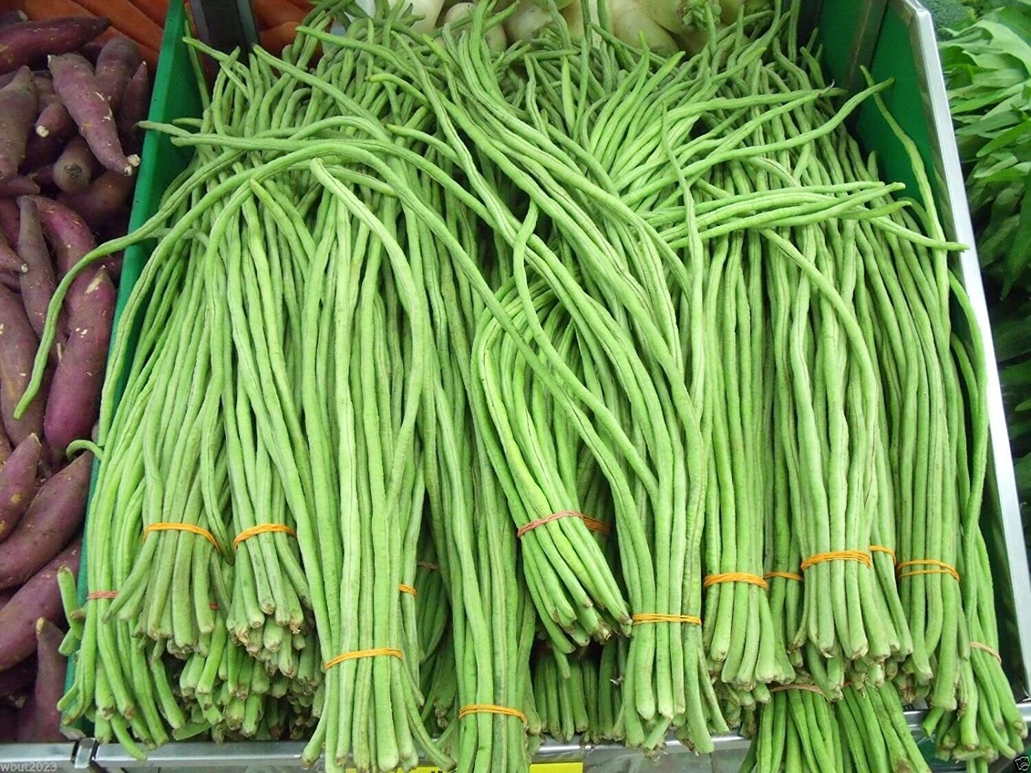 This is Vigna unguiculata. The common name for this is Taiwan Yard-Long Long Bean. Whimsy and Wonder Seeds sells the freshest of heirloom seeds, vegetable seeds and rare garden seeds. Check this Taiwan Yard-Long Long Bean (Vigna unguiculata) out along with all of our Heirloom vegetables and rare garden plant seeds here at Whimsy and Wonder Seeds. We ship these garden seeds from Canada to anywhere in the World.