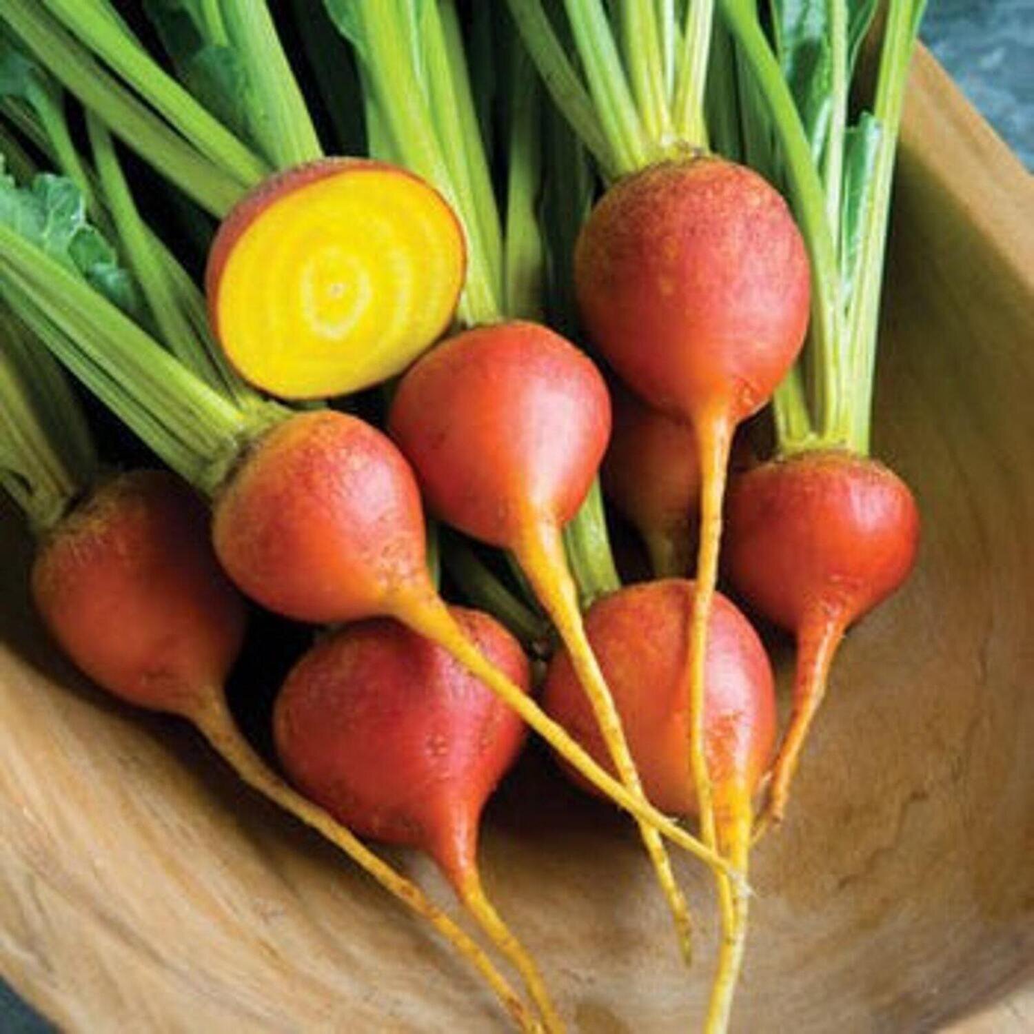 This is Beta vulgaris. The common name for this is Golden Beets. Whimsy and Wonder Seeds sells the freshest of heirloom seeds, vegetable seeds and rare garden seeds. Check this Golden Beets (Beta vulgaris) out along with all of our Heirloom vegetables and rare garden plant seeds here at Whimsy and Wonder Seeds. We ship these garden seeds from Canada to anywhere in the World.