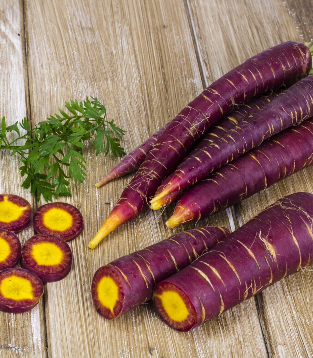 This is Daucus carota. The common name for this is Cosmic Purple Carrot. Whimsy and Wonder Seeds sells the freshest of heirloom seeds, vegetable seeds and rare garden seeds. Check thisCosmic Purple Carrot (Daucus carota) out along with all of our Heirloom vegetables and rare garden plant seeds here at Whimsy and Wonder Seeds. We ship these garden seeds from Canada to anywhere in the World.