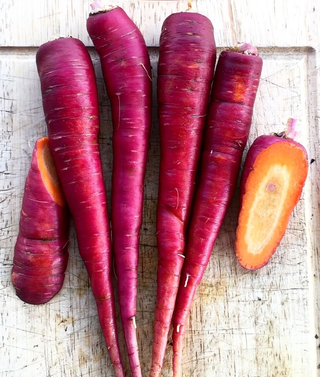 This is Daucus carota. The common name for this is Purple Dragon Carrot. Whimsy and Wonder Seeds sells the freshest of heirloom seeds, vegetable seeds and rare garden seeds. Check this Purple Dragon Carrot (Daucus carota) out along with all of our Heirloom vegetables and rare garden plant seeds here at Whimsy and Wonder Seeds. We ship these garden seeds from Canada to anywhere in the World.