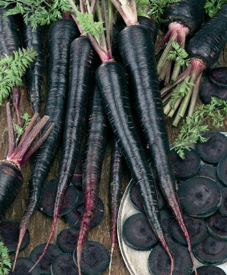 This is Daucus carota. The common name for this is Pusa Asita Black Carrot. Whimsy and Wonder Seeds sells the freshest of heirloom seeds, vegetable seeds and rare garden seeds. Check this Pusa Asita Black Carrot (Daucus carota) out along with all of our Heirloom vegetables and rare garden plant seeds here at Whimsy and Wonder Seeds. We ship these garden seeds from Canada to anywhere in the World.
