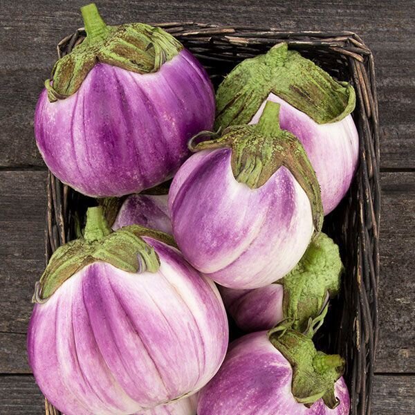 This is Solanum melongena. The common name for this is Sicilian Rosa Bianca Eggplant. Whimsy and Wonder Seeds sells the freshest of heirloom seeds, vegetable seeds and rare garden seeds. Check this Sicilian Rosa Bianca Eggplant (Solanum melongena) out along with all of our Heirloom vegetables and rare garden plant seeds here at Whimsy and Wonder Seeds. We ship these garden seeds from Canada to anywhere in the World.
