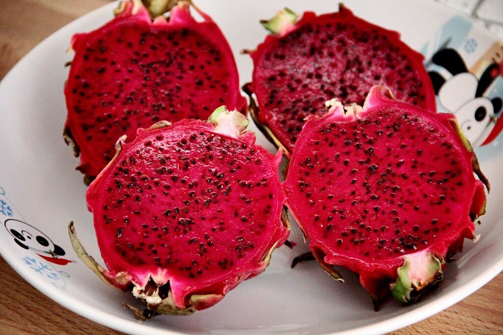 This is Stenocereus queretaroensis &#39;Rojo&#39;. The common name for this is Ruby Red Pitayas Dragon Fruit. Whimsy and Wonder Seeds sells the freshest of rare fruit seeds. Other Common names for this exotic fruit species are: Ruby Red Pitayas Dragon Fruit: Red-fleshed dragon fruit, Pitahaya roja. Check this Ruby Red Pitayas Dragon Fruit (Stenocereus queretaroensis &#39;Rojo&#39;) out along with all of our other Rare  and Exotic Fruit plant seeds here at Whimsy and Wonder Seeds. We ship these exotic fruit plants seeds  from Canada to anywhere in the World.
