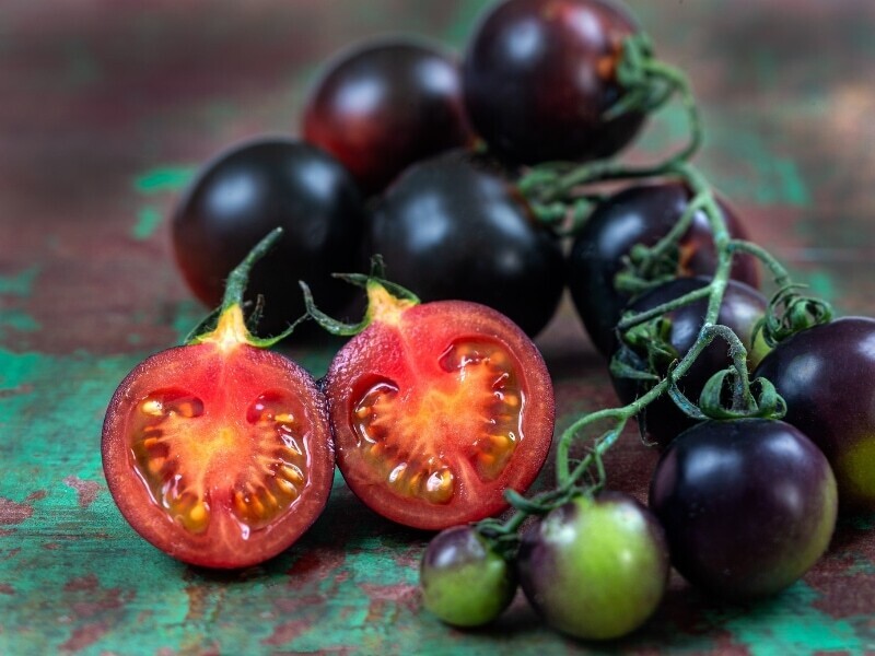 This is Solanum lycopersicum. The common name for this is Indigo Blue Chocolate Tomato. Whimsy and Wonder Seeds sells the freshest of heirloom seeds, vegetable seeds and rare garden seeds. Check this Indigo Blue Chocolate Tomato (Solanum lycopersicum) out along with all of our Heirloom vegetables and rare garden plant seeds here at Whimsy and Wonder Seeds. We ship these garden seeds from Canada to anywhere in the World.